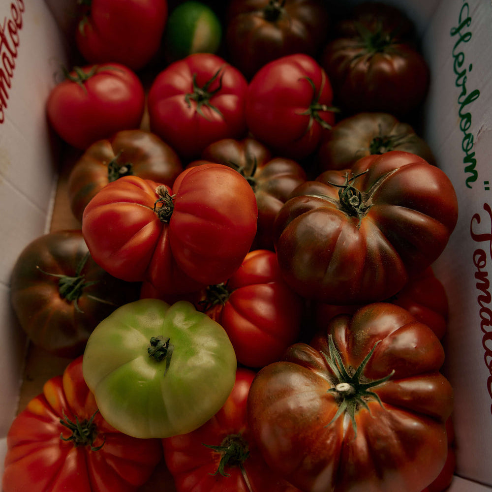 Heirloom Tomato Candle