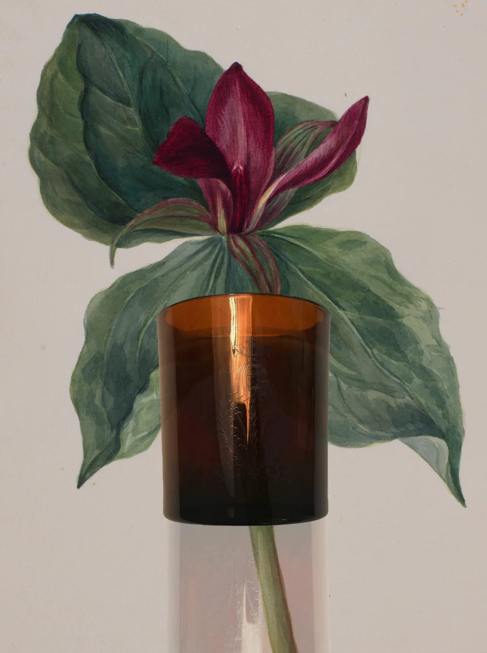 THE QUIET BOTANIST MOODY BLOOMS CANDLE