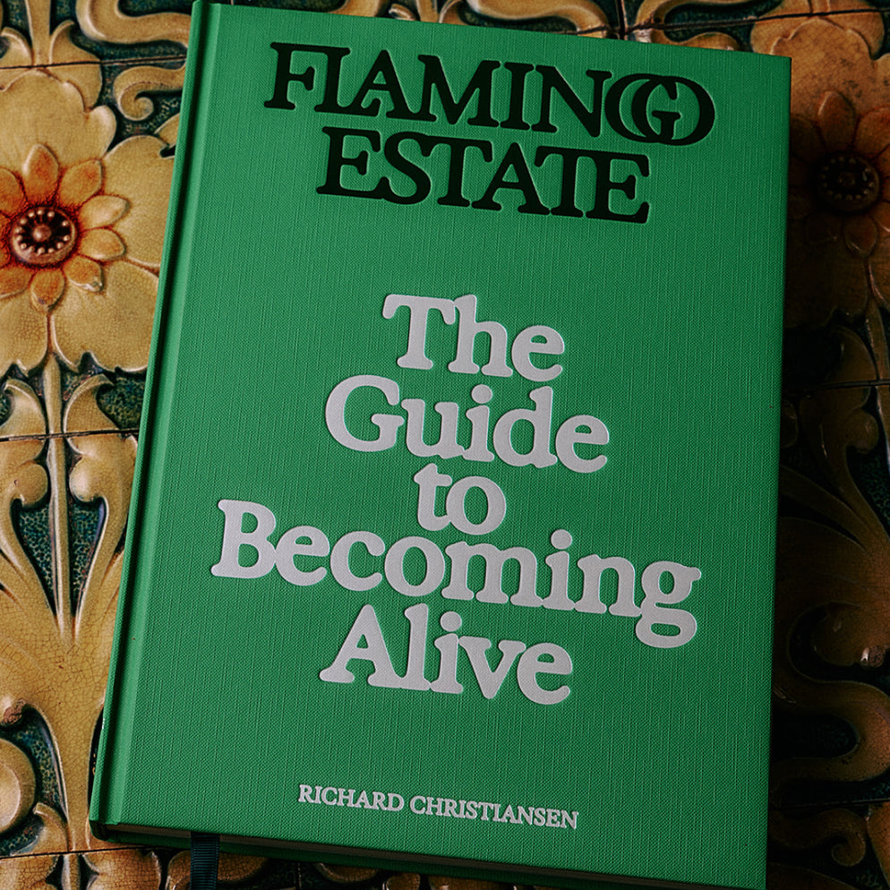 The Guide to Becoming Alive