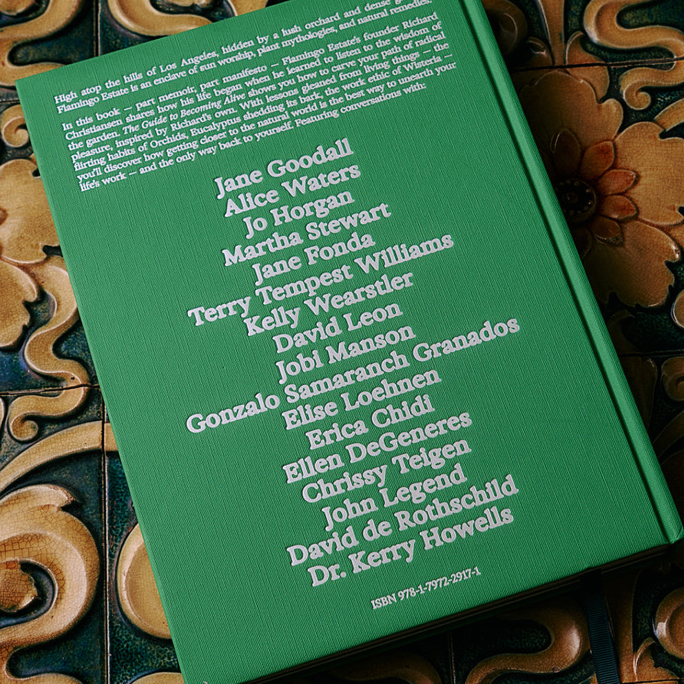 The Guide to Becoming Alive