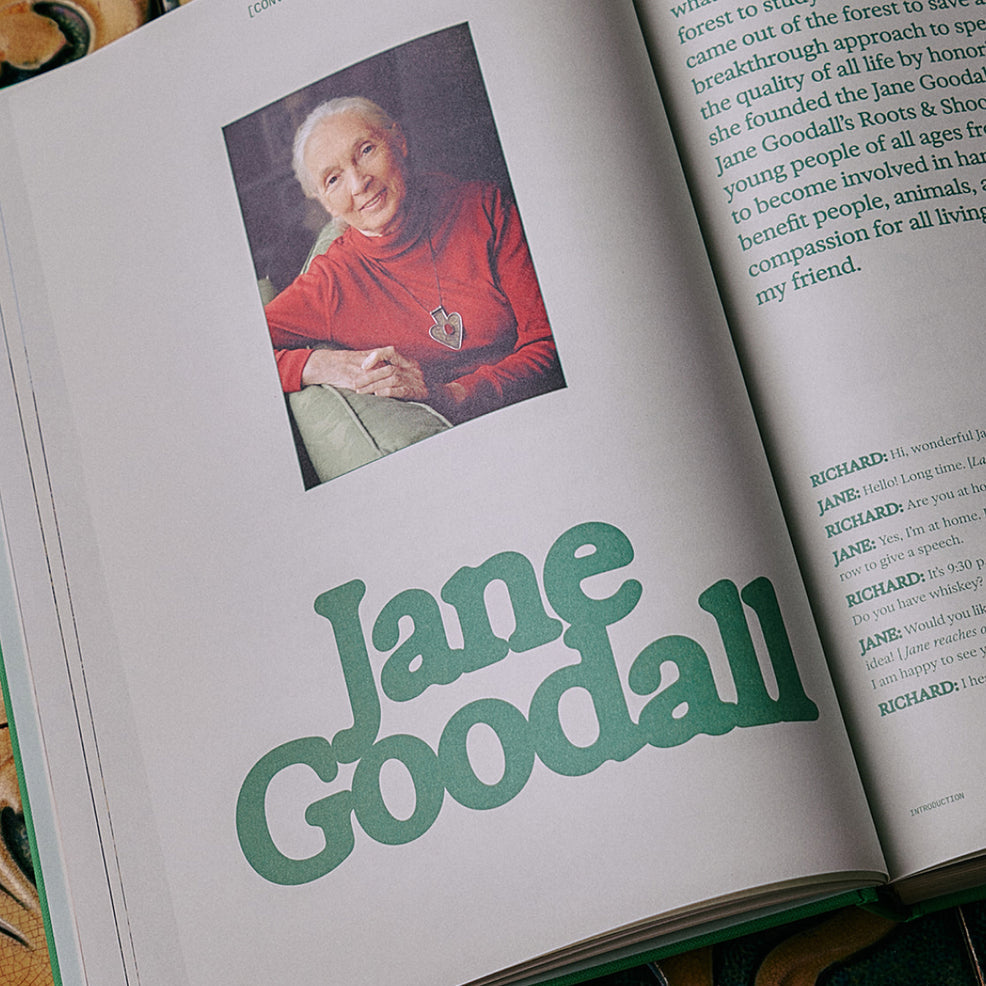 The Guide to Becoming Alive