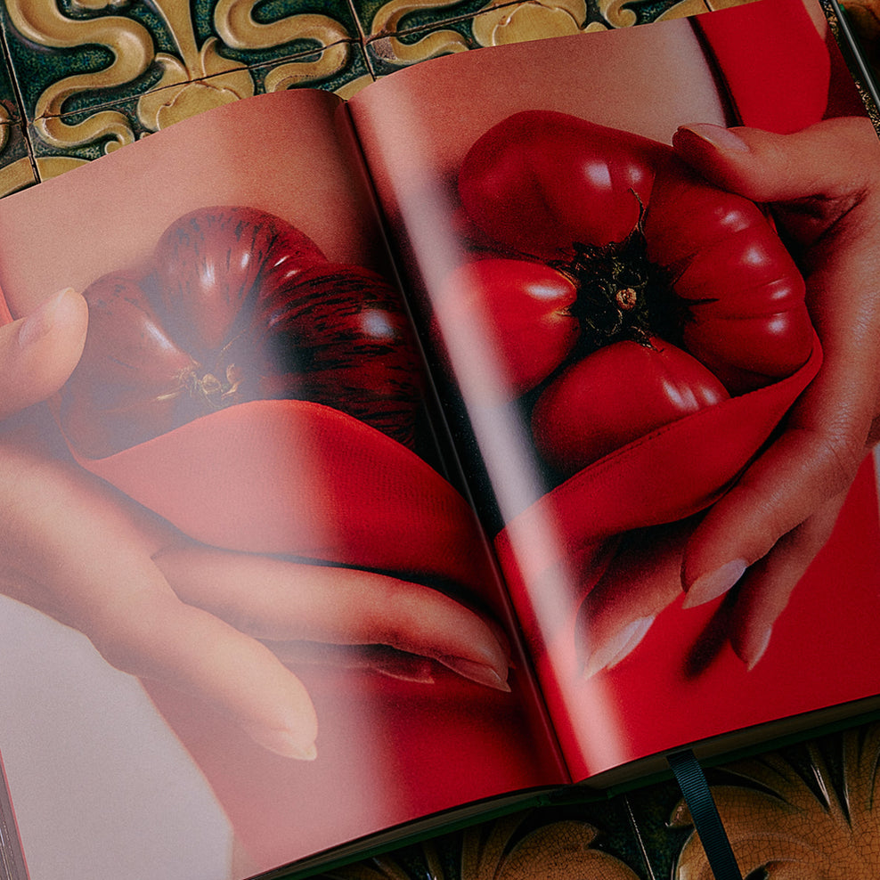 The Guide to Becoming Alive