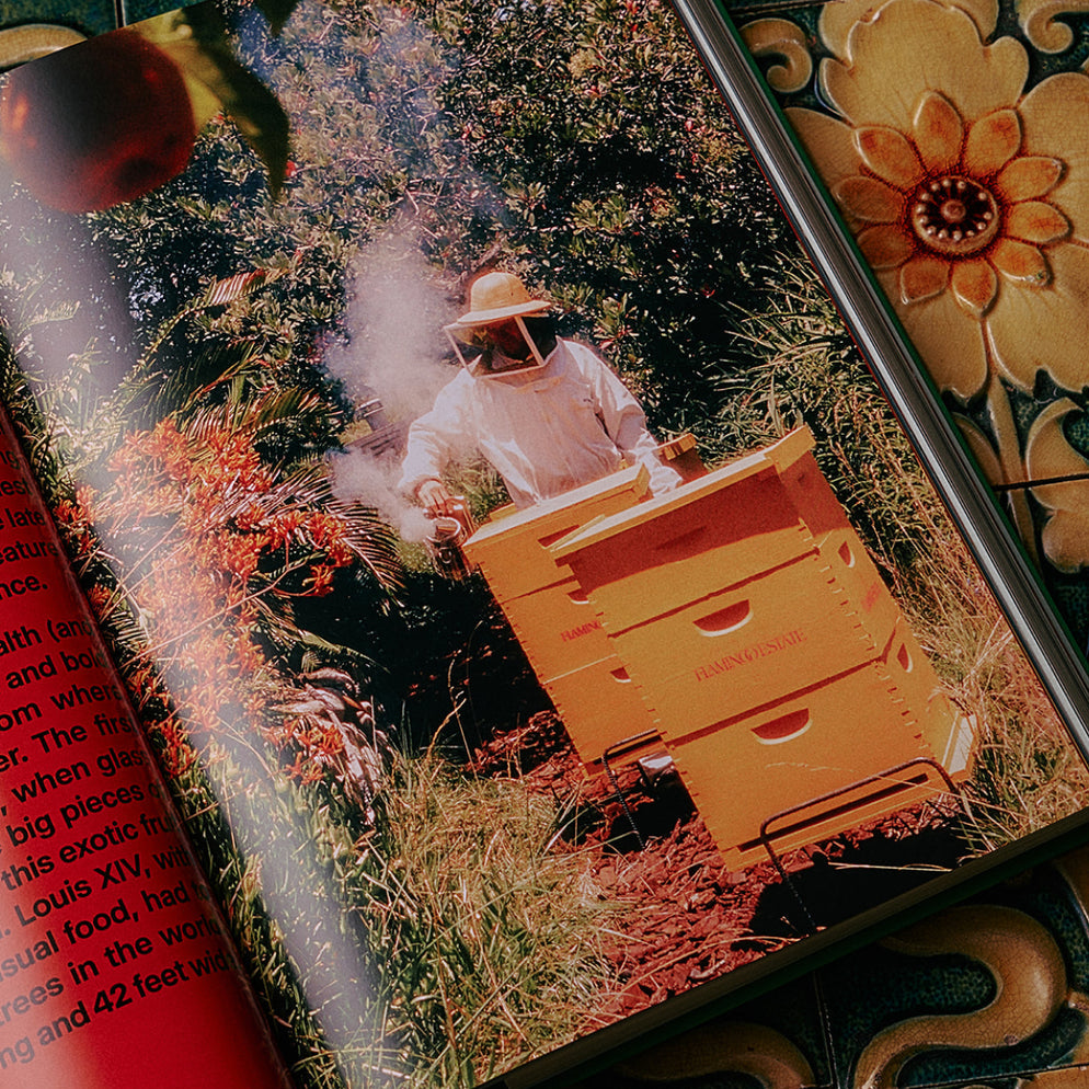 The Guide to Becoming Alive