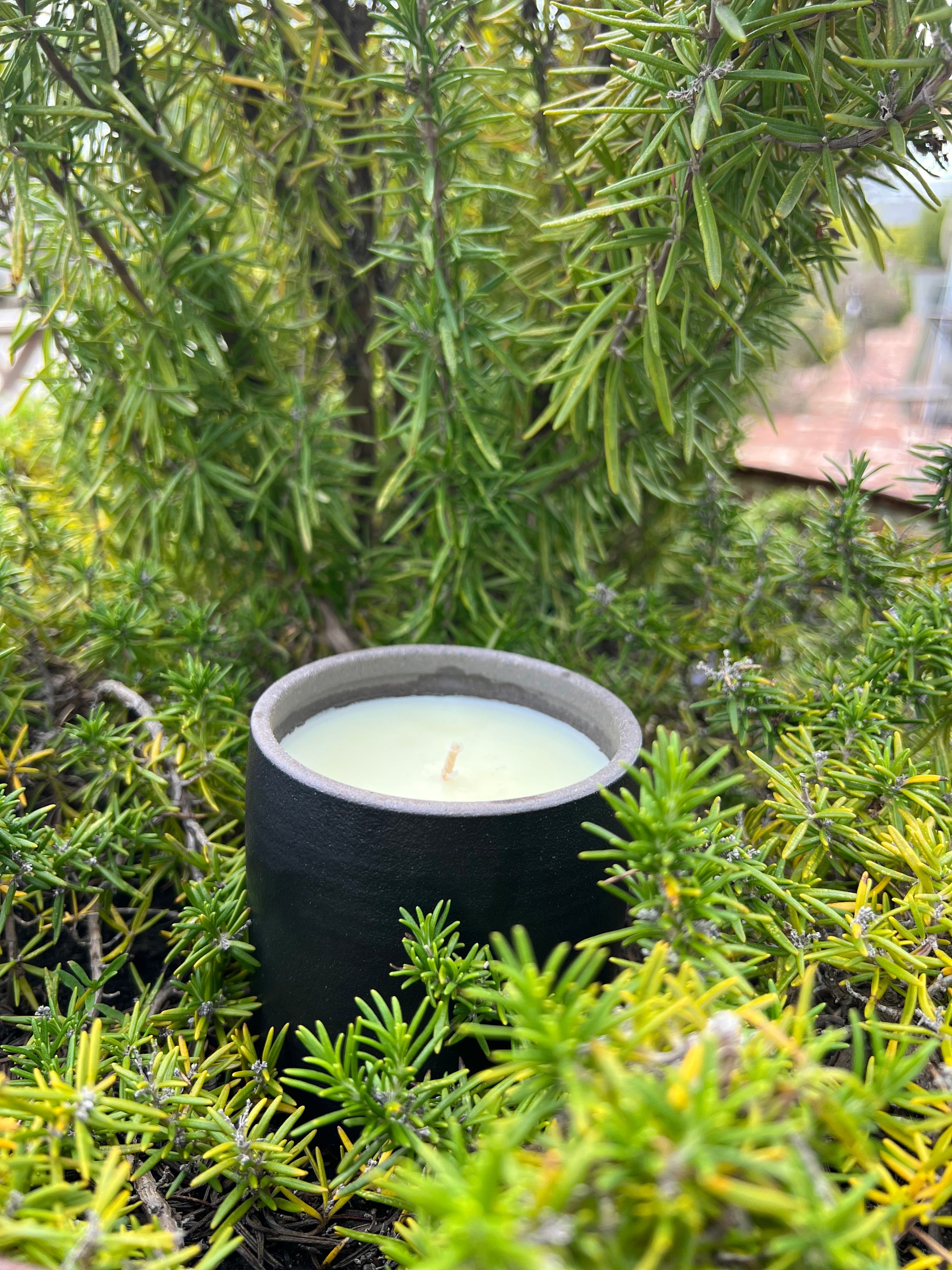 TYSA CANDLE GARDENIA PETAL / TUBEROSE / NEROLI BLOSSOM