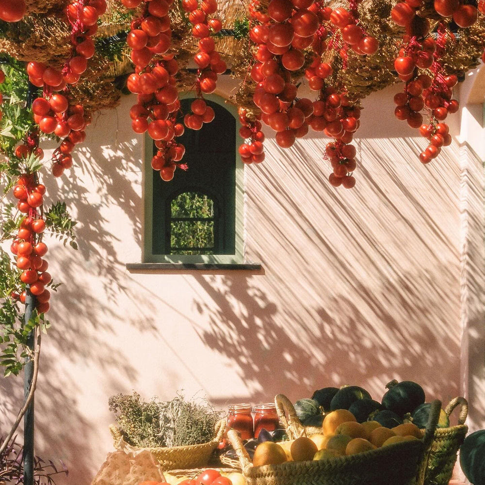 Roma Heirloom Tomato XL Candle