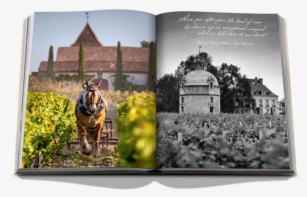 WINE & TRAVEL FRANCE