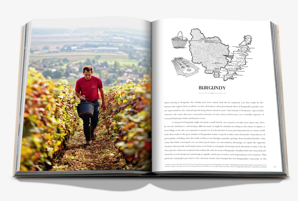 WINE & TRAVEL FRANCE