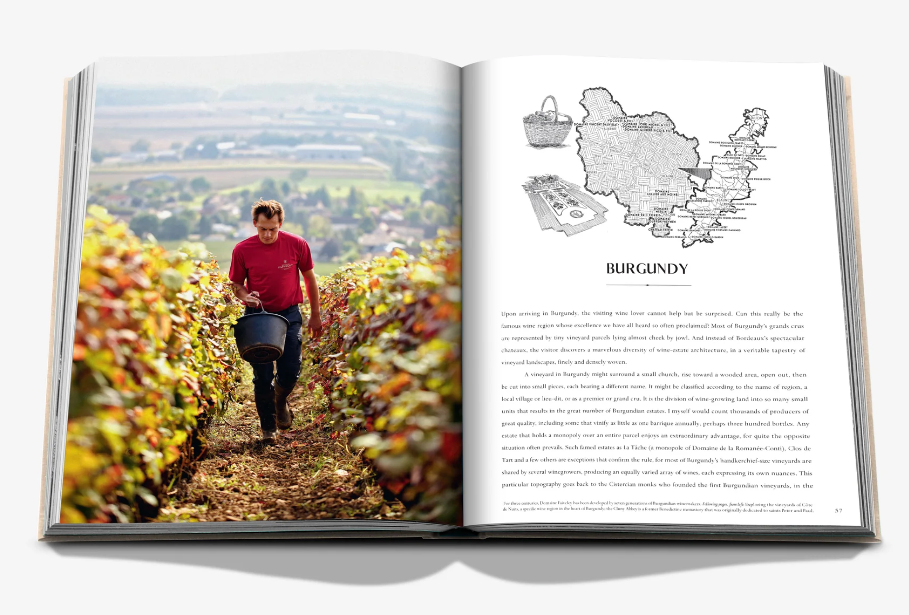 WINE & TRAVEL FRANCE