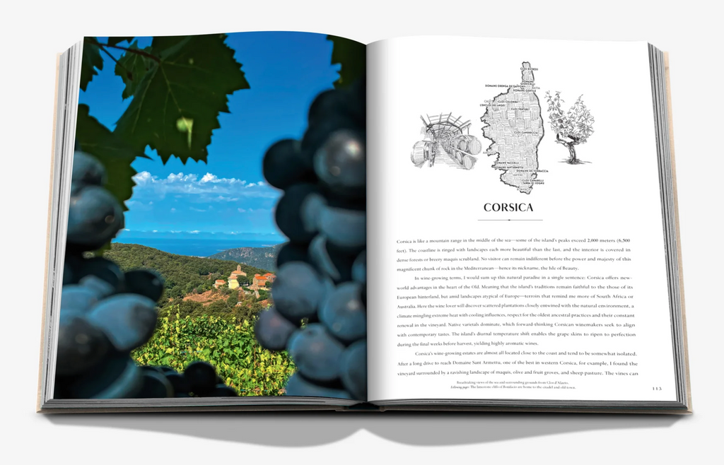 WINE & TRAVEL FRANCE