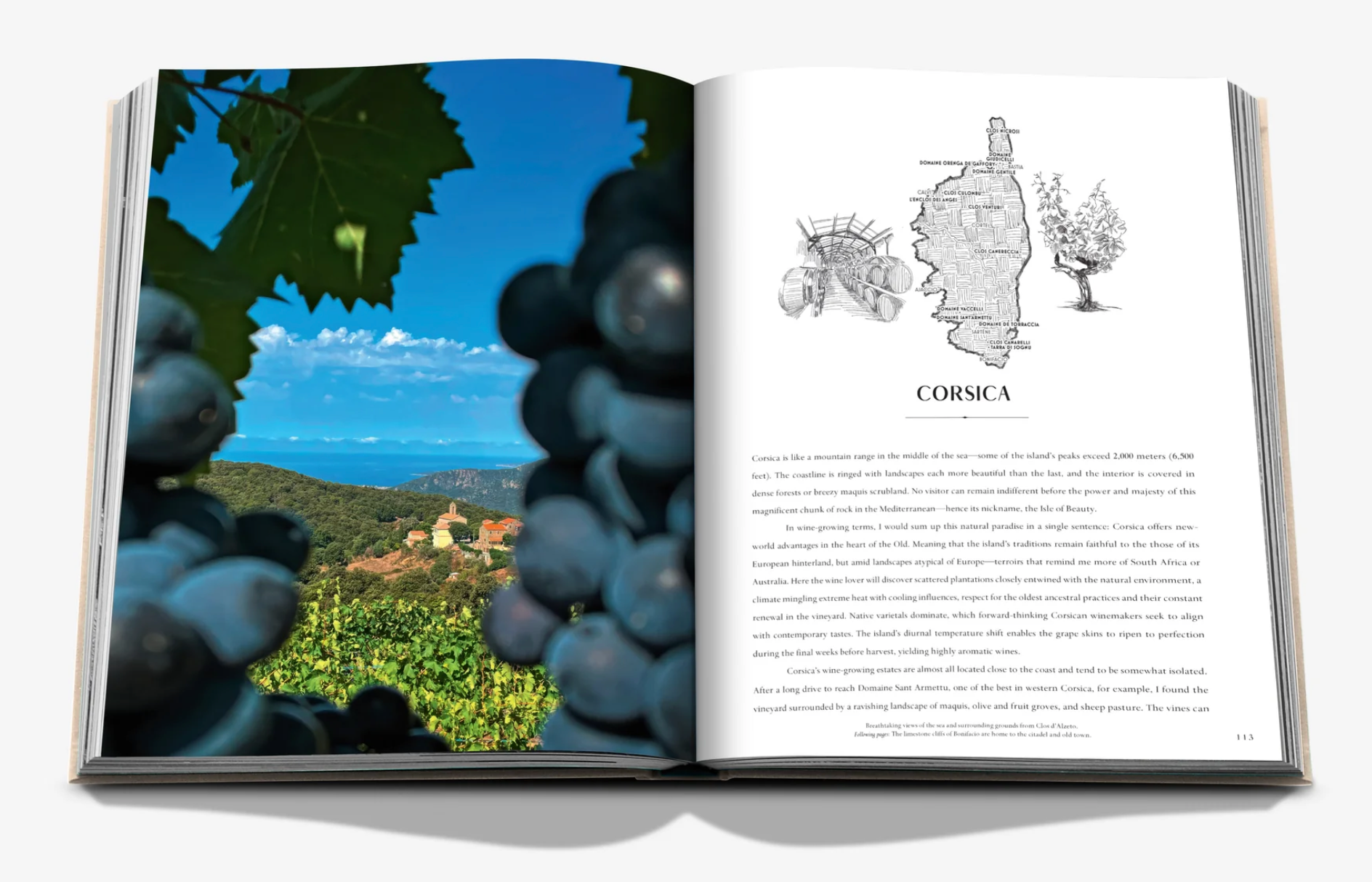 WINE & TRAVEL FRANCE