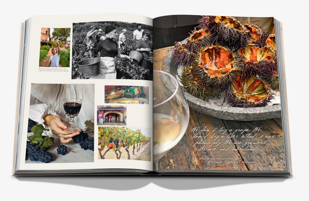 WINE & TRAVEL FRANCE