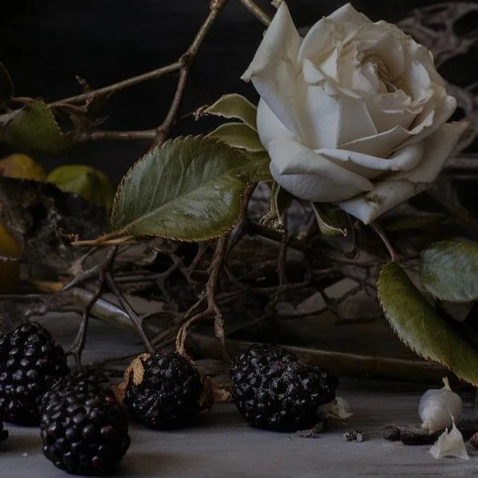 Into the Briar Patch Candle