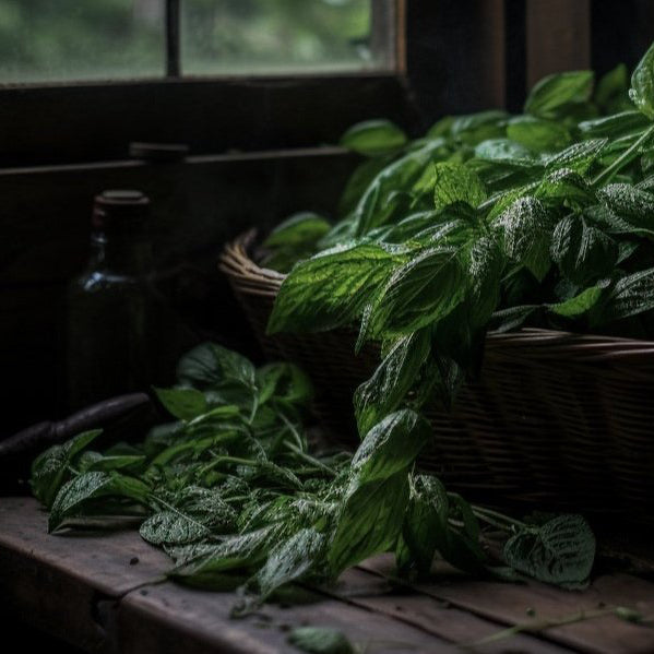 Mint Condition Candle