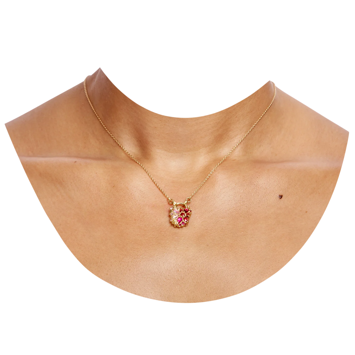 Polly Wales Plum Blossom Fantaisie Padlock Necklace