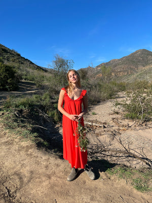 WALK IN THE GARDEN DRESS IN TANGERINE