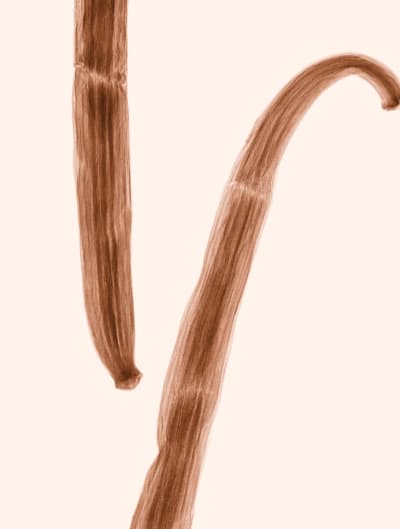 INGREDIENTS® WELLNESS BODY OIL